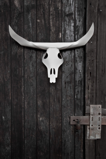 'Bison' Leather Stag Head Skull - White