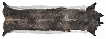Super Long Stretched Cowhide Rug - Medium Natural