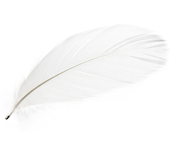 Magic Magnetic Feathers White