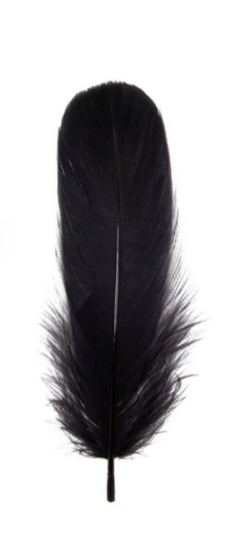 Magic Magnetic Feathers Black