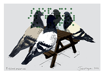 Pigeons Meeting (unique prints)